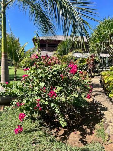 Villa Milena Nosy-Be Exteriör bild